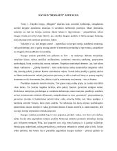 Knygos “Mergaitė“ anotacija