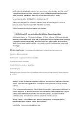 Istorijos kontrolinio paruoštukas 2 puslapis