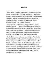 Kelionė atostogų metu