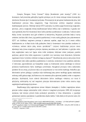 Viešumo principas ir ikiteisminis tyrimas: teorija ir praktika  12 puslapis