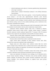 Viešumo principas ir ikiteisminis tyrimas: teorija ir praktika  4 puslapis