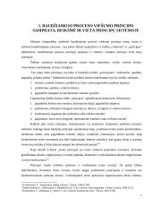 Viešumo principas ir ikiteisminis tyrimas: teorija ir praktika  6 puslapis