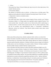 Europos politinės partijos ir jų sistemos 13 puslapis