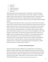 Europos politinės partijos ir jų sistemos 9 puslapis