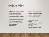 Tėvynės svarba žmogui. Maironis 2 puslapis