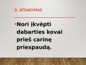 Tėvynės svarba žmogui. Maironis 20 puslapis