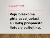 Tėvynės svarba žmogui. Maironis 10 puslapis