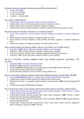 Microsoft Excel skaičiuoklės 2 puslapis