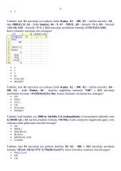 Microsoft Excel skaičiuoklės 11 puslapis