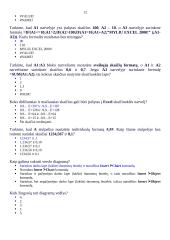 Microsoft Excel skaičiuoklės 12 puslapis