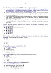 Microsoft Excel skaičiuoklės 13 puslapis