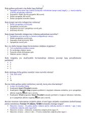 Microsoft Excel skaičiuoklės 3 puslapis