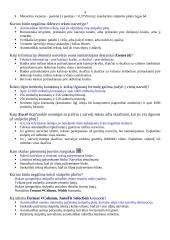 Microsoft Excel skaičiuoklės 4 puslapis