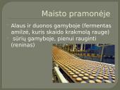 Fermentų panaudojimas 3 puslapis