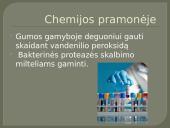 Fermentų panaudojimas 5 puslapis