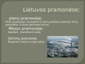 Fermentų panaudojimas 7 puslapis