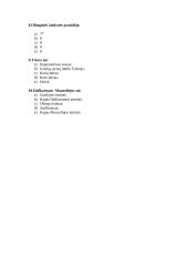 Senovės Graikija. Klausimai - atsakymai 2 puslapis