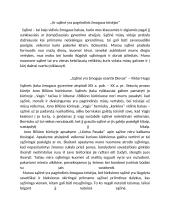 Ar sąžinė yra pagrindinis žmogaus teisėjas