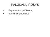 Skaidrės apie bankus 9 puslapis