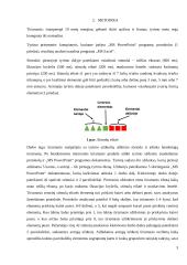 Geštalto grupavimo taisyklių taikymo tyrimas 3 puslapis