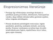 Pristatymas apie ekspresionizmą 8 puslapis