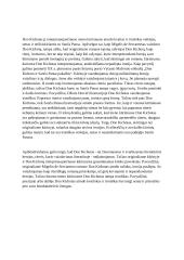 Don Kichoto paveikslas literatūroje 2 puslapis