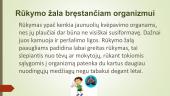 Pasyvus ir aktyvus rūkymas. Jo žala bręstančiam organizmui 5 puslapis