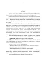 Lietuvos lentpjūvystės pramonės eksporto veiklos analizė 3 puslapis