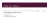Situacijos analizė: kokį automobilį pirkti 13 puslapis