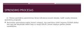 Situacijos analizė: kokį automobilį pirkti 16 puslapis