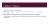 Situacijos analizė: kokį automobilį pirkti 17 puslapis