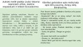 Meilės patirtys Vinco Mykolaičio-Putino romane „Altorių šešėly“ 7 puslapis