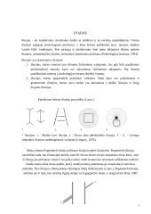 Pogendorfo iliuzijos tikrinimas 3 puslapis