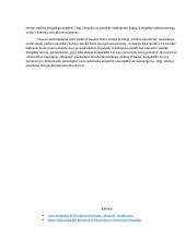 Valdovo paveikslas lietuvių literatūroje (Sruoga, Krėvė) 2 puslapis