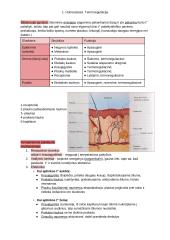 Homeostazės konspektas 2 puslapis