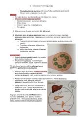 Homeostazės konspektas 3 puslapis