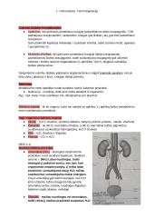 Homeostazės konspektas 4 puslapis