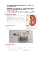 Homeostazės konspektas 5 puslapis