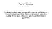 Sveikos mitybos piramidės, maisto produktų sudėties analizavimas 7 puslapis