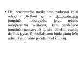 Bendroji nuosavybė. Savininko teisių gynimas 12 puslapis