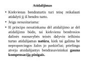 Bendroji nuosavybė. Savininko teisių gynimas 13 puslapis