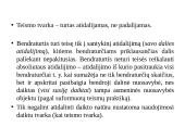 Bendroji nuosavybė. Savininko teisių gynimas 15 puslapis