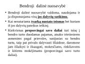 Bendroji nuosavybė. Savininko teisių gynimas 6 puslapis