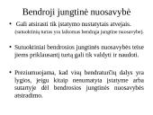 Bendroji nuosavybė. Savininko teisių gynimas 10 puslapis