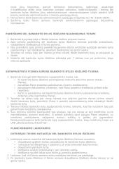 Fizinių asmenų bankroto teorija 2 puslapis