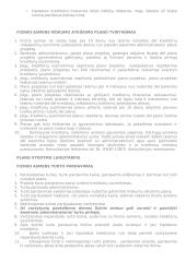 Fizinių asmenų bankroto teorija 4 puslapis