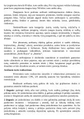 Turto areštas ir realizavimo  formos 3 puslapis