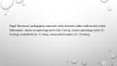 Marijos Montessori veikla ir pedagoginės pažiūros 6 puslapis