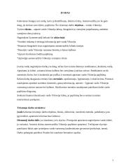 Vardo Viktorija kilmės ir vartosenos tyrimas 3 puslapis