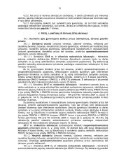 Prizų, laimėjimų ir dovanų apmokestinimas pajamų mokesčiu 13 puslapis
